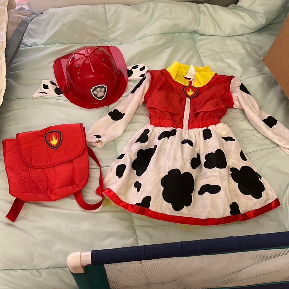Paw patrol